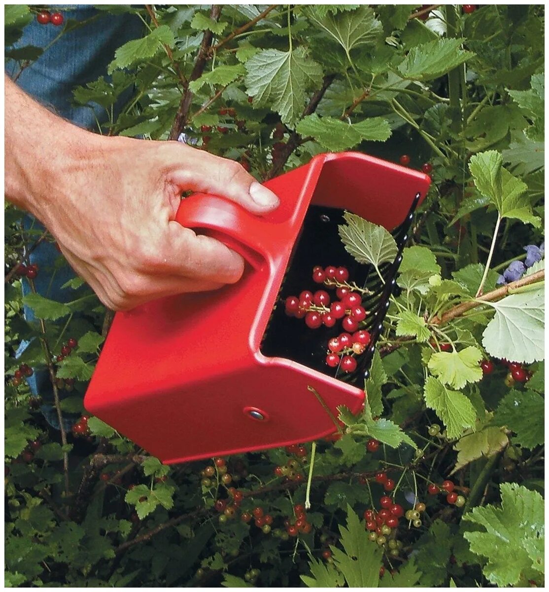 Plastex комбайн для сбора ягод. комбайн для сбора ягод финский marjukka. плодосборник / ягодосборник. комбайн для ягод. комбайн для сбора ягод финский пм-140 marjukka металлическая гребенка.