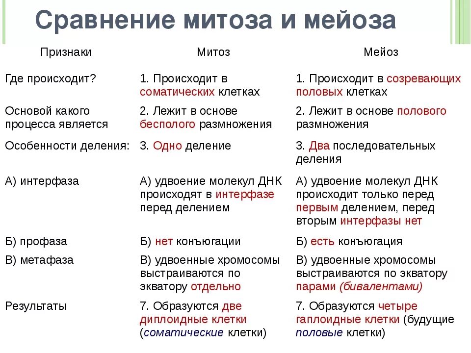 Сходства и отличия митоза и мейоза. Сравнение митоза и мейоза таблица. Сходства и различия митоза и мейоза в таблице 9 класс. Сравнение митоза и мейоза таблица 10 класс. Мейоз и митоз сравнительная таблица.