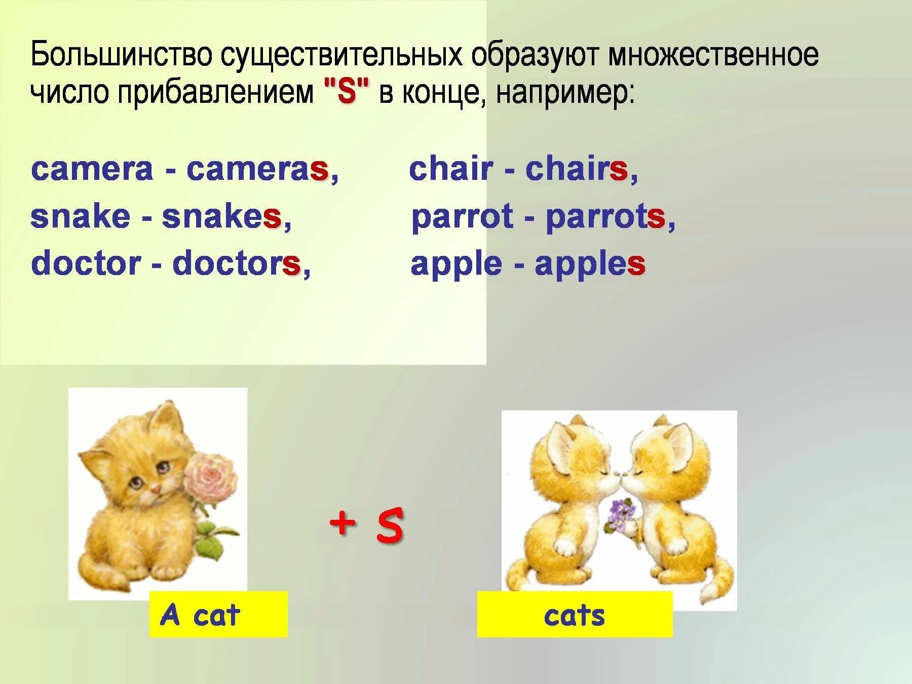 Окончания существительных в английском языке. Единственное и множественное число в английском языке 2 класс правило. Правило сущ во мн числе англ яз. Правило англ яз множественное число. Правило по английскому множественное число существительных 2 класс.