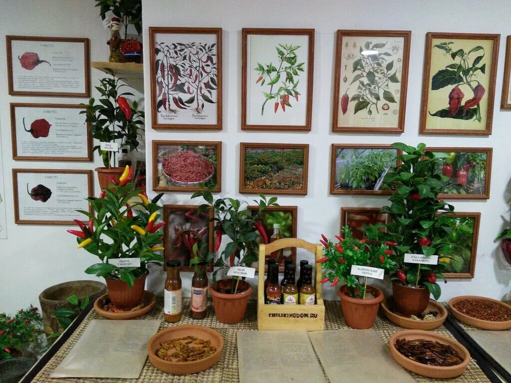 специи санкт петербурге