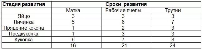 Таблица развития пчел и матки. Таблица развития пчелы матки и трутня. Сроки развития особей пчелиной семьи. Сроки развития пчелиной матки.