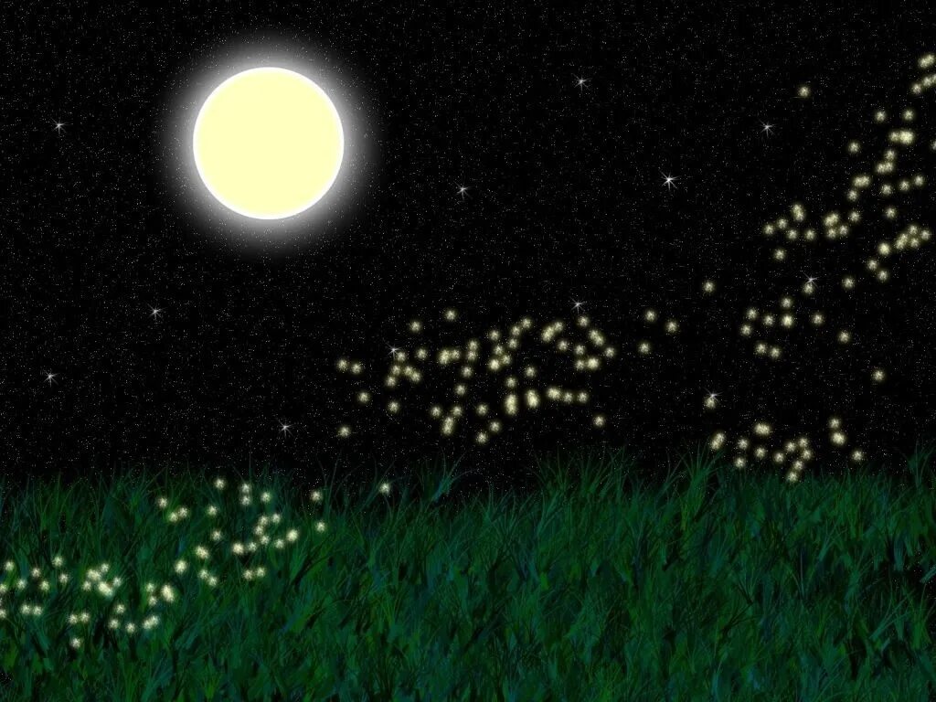 Сказочная ночь. Светлячки в небе. Светлячки в небе. Ночь небесных светлячков. Светлячки в лесу.