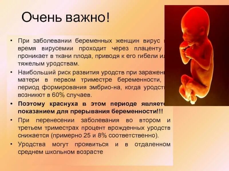 Заболевание матери. Влияния вирусов на эмбрион. Влияние вирусных заболеваний на развитие зародыша человека.