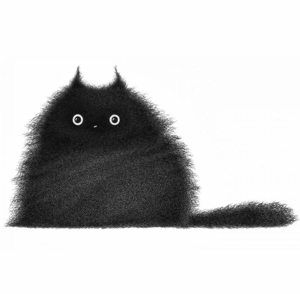 Кофе кот мем. Кот мем. кофи кусьна. кофий кот. коты мемы.