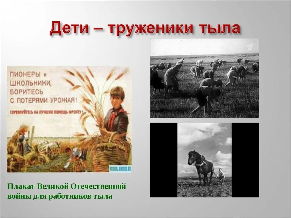 Проект труженик. Дети труженики войны. Дети войны труженики тыла. Дети труженики тыла ВОВ. Презентация на тему труженики тыла.