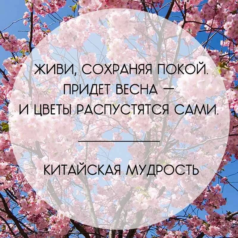 Статусы про весну и любовь. Цитаты про весну. Весенние цитаты. Высказывания о весне.