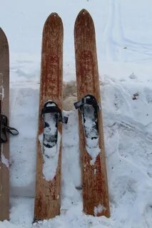Лыжи из какого дерева