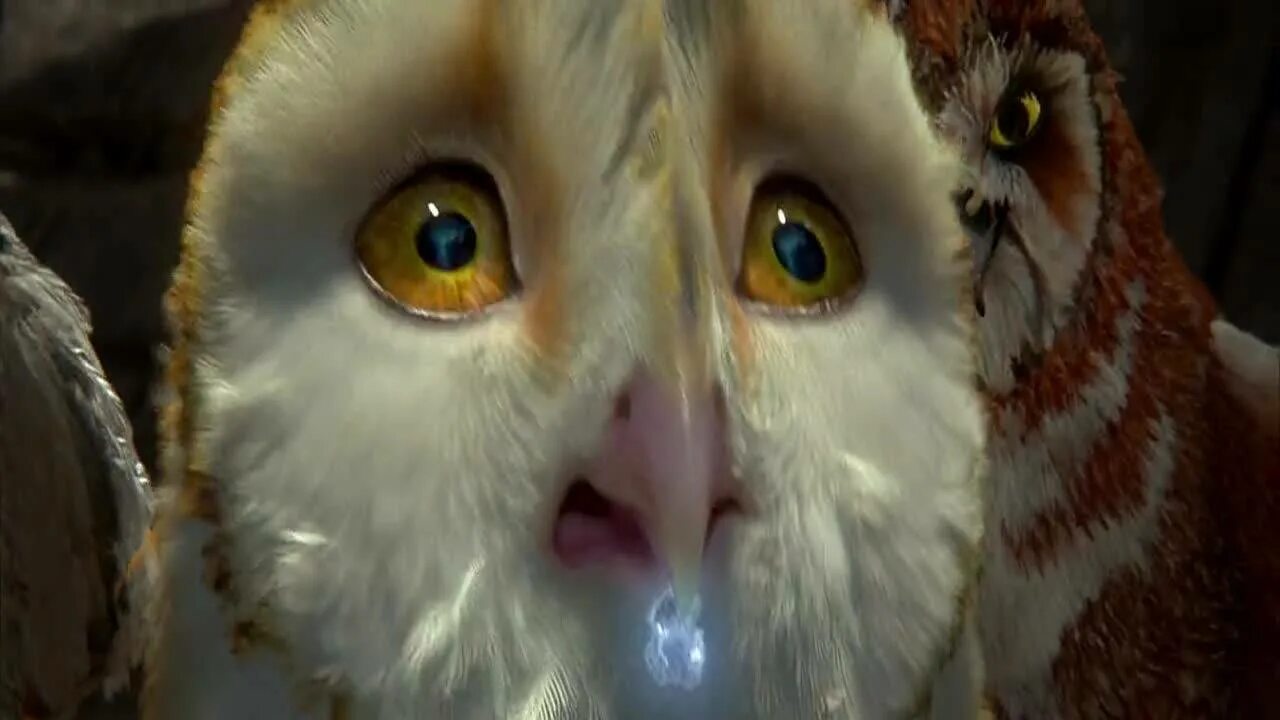 Ga hoole guardians the owls legend. Легенды ночных стражей Отулисса. Легенды ночных стражей Нира. Легенды ночных стражей найра. Братья Совы Клудд и.