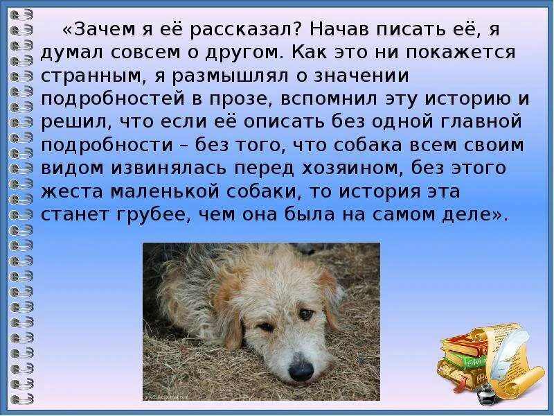 Паустовский старик в Станционном буфете. Рассказы это видные собаки. Старик в Станционном буфете о чем. Зачем рассказывать о том. Как паустовский относится к животным