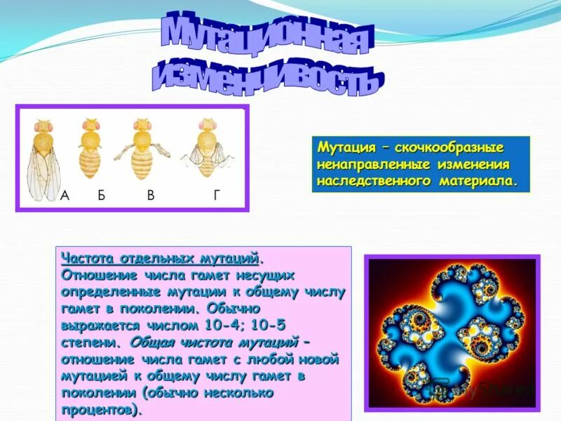 Наследственные изменения мутации. Факторы внешней среды вызывающие мутации. Наследственная изменчивость и мутационная изменчивость. Наследственной изменчивости генные мутации. Мутационная изменчивость (мутации).