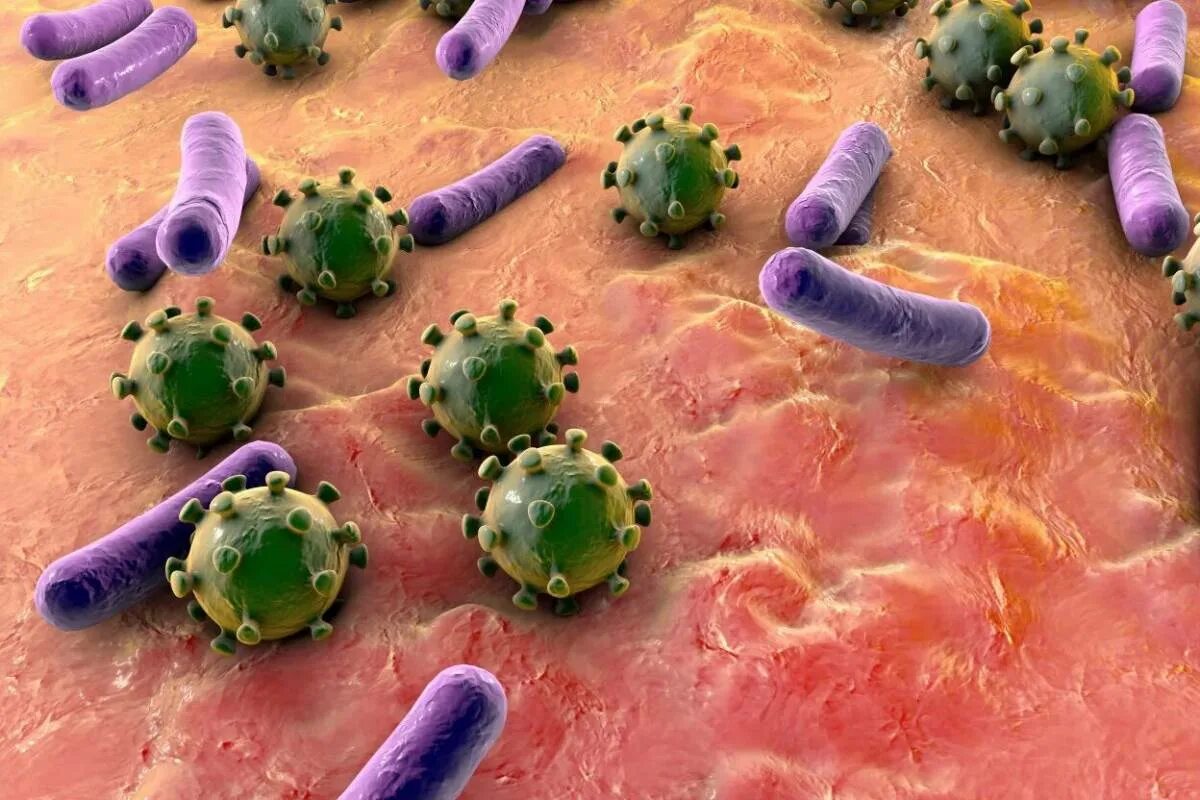 Почему бактерии живые. Микробы. Микробы и вирусы под микроскопом. Бактерии под микроскопом. Плохие микробы.