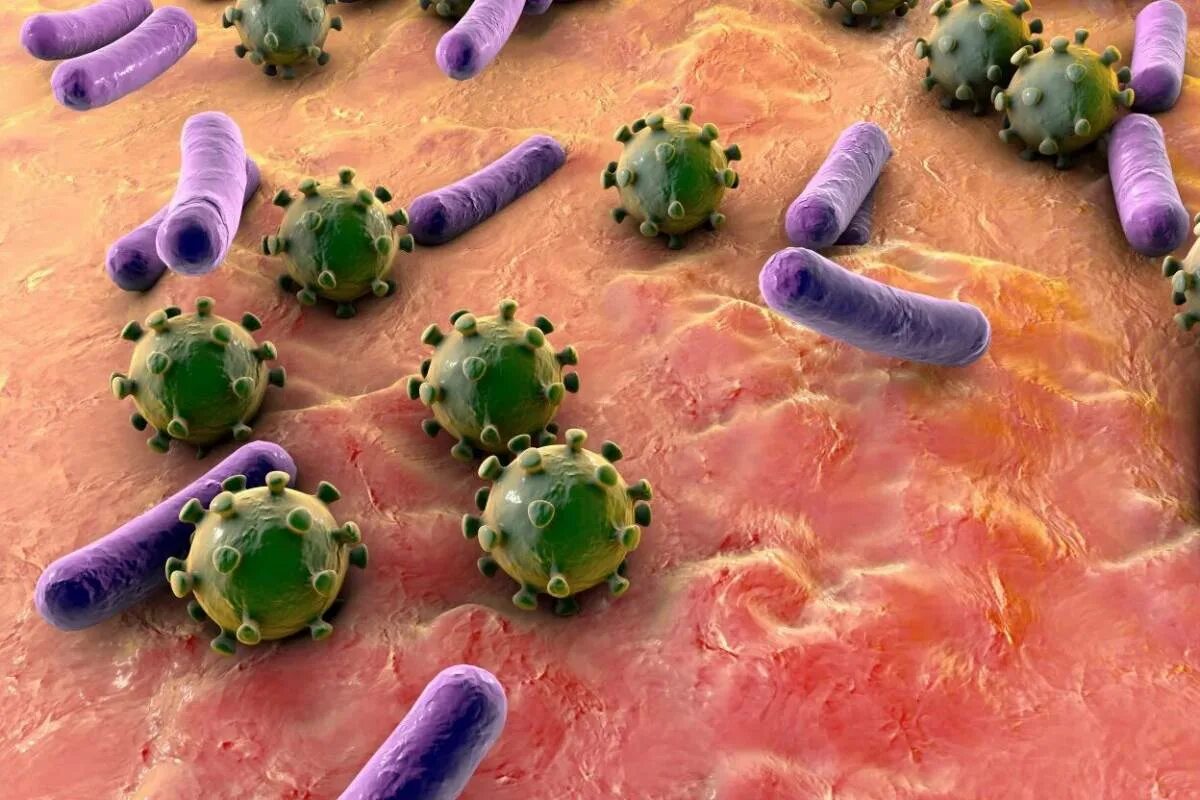 Микробы. Микробы и вирусы под микроскопом. Бактерии под микроскопом. Плохие микробы.