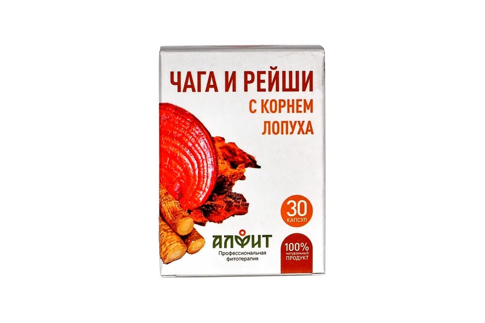 Ганодерма лусидум. Гриб рейши линчжи. Трутовик лакированный ganoderma lucidum. Сафол рейши. Гриб ganoderma lucidum.