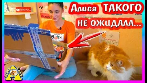 Алиса вася