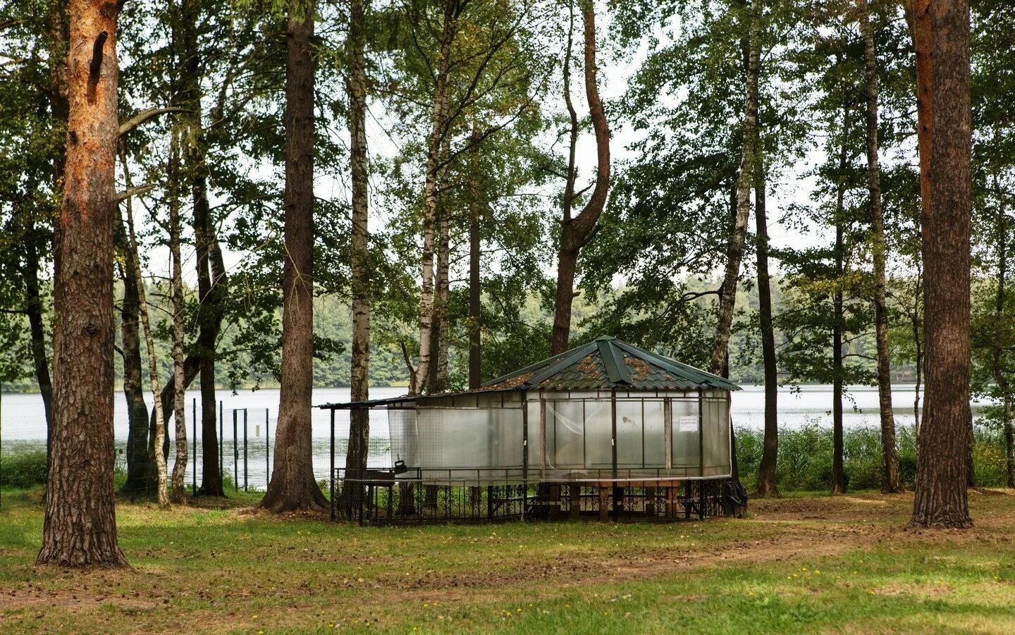 боровое турбаза ногинск. украсить беседку на свадьбу. украсить беседку шарами. турбаза журавли кемерово. турбаза день рождения.