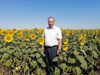 Алексеевка аркадакский саратовской