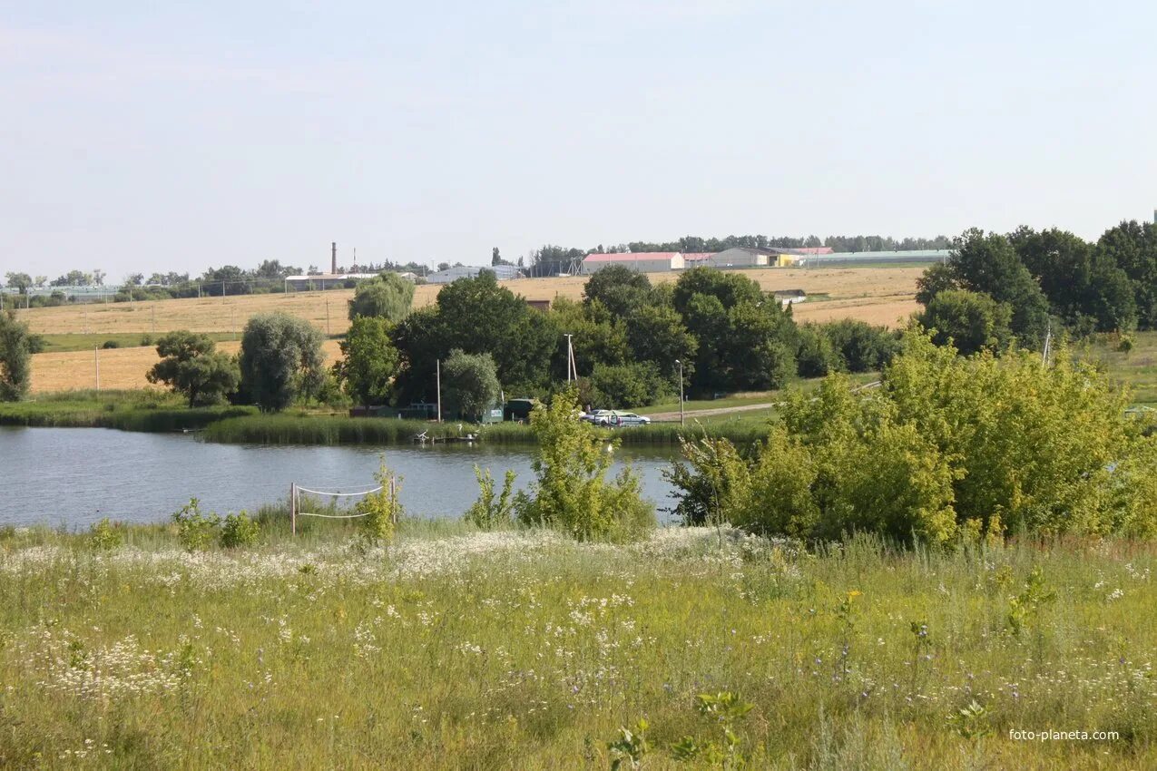 Хутора Белгородской области. Пруд большая Халань Белгородской области. Хутор церковный Белгородский район. Пруды в Белгородском районе.