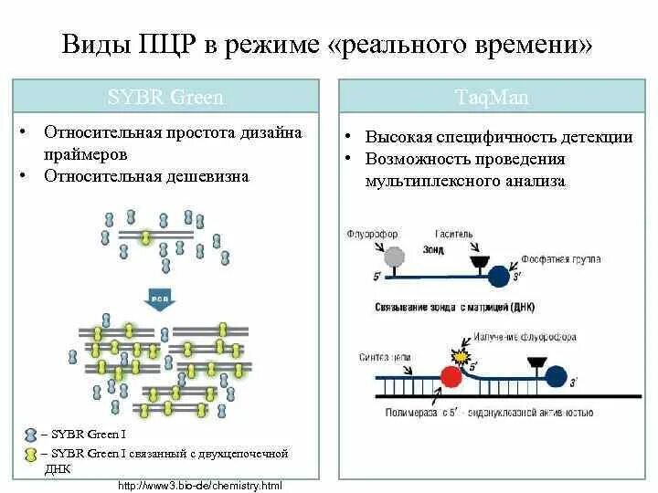 . Полимеразная цепная реакция (ПЦР). Этапы. Мультиплексная ПЦР В режиме реального времени. Метод ПЦР схема. Полимеразная цепная реакция (ПЦР) используется при.