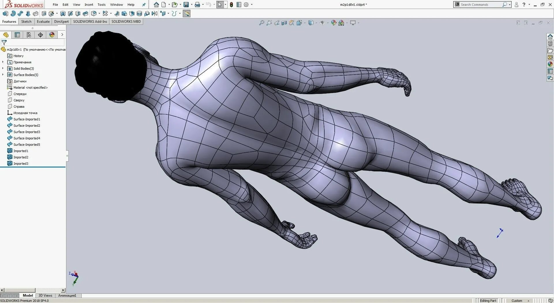 3d моделирование solidworks. Solidworks 3d модель ноги. Инвентор 3д моделирование. AUTOCAD 3d модель человека. Человек в компасе