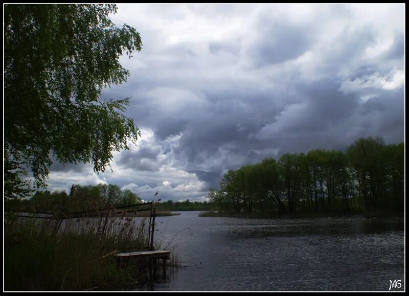 Перед дождем болит. Перед дождем 1994. Фото у реки перед дождем. Перед дождем на Дону фото.
