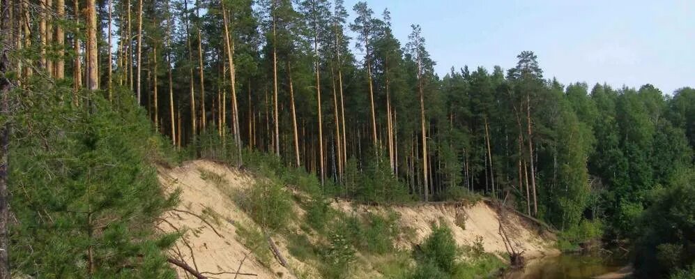 Большое песочное нижегородская. Большое песочное нижегородская. Большое песочное нижегородская область на карте. Нижегородская область дер. Деревня большое песочное нижегородская область.