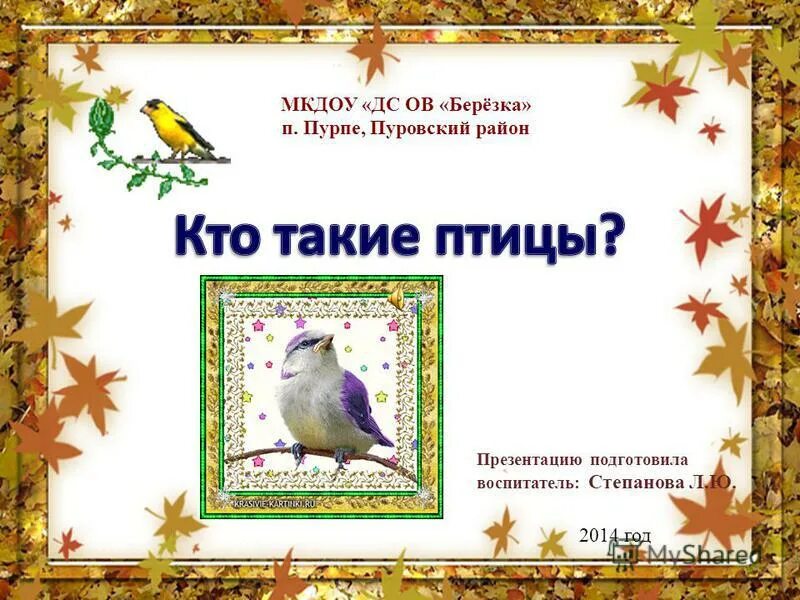 Птицы Пуровского района. Анонс презентации птицы в городе. МКДОУ Березка Слободской. Мкдоу березка