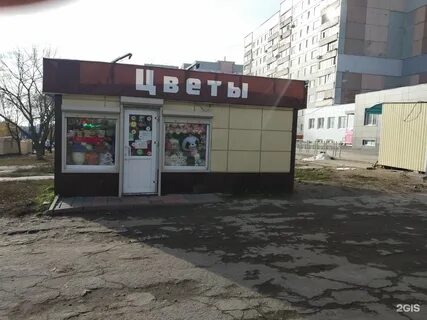 Тула 24 года