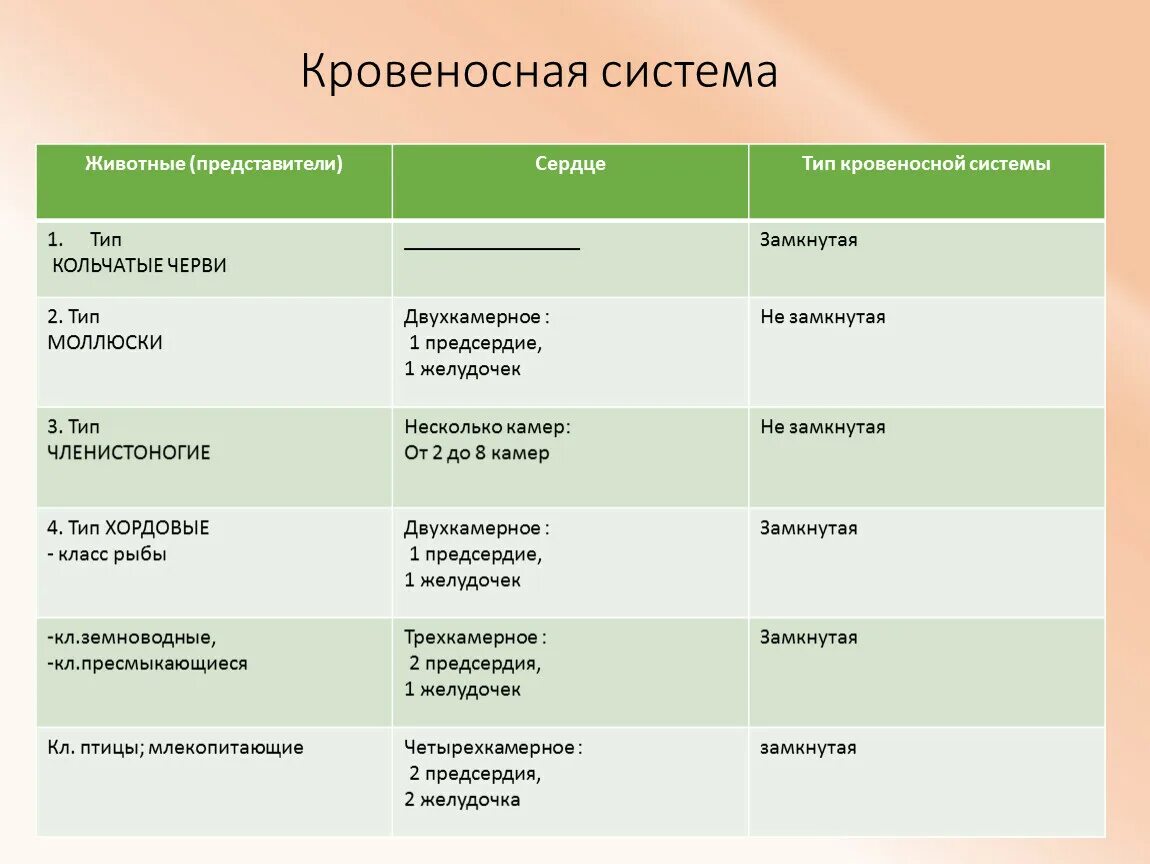 Кровеносная система животных таблица. Типы кровеносных систем. Таблица животные представители сердце Тип кровеносной системы. Таблица сердце и Тип кровеносной системы.