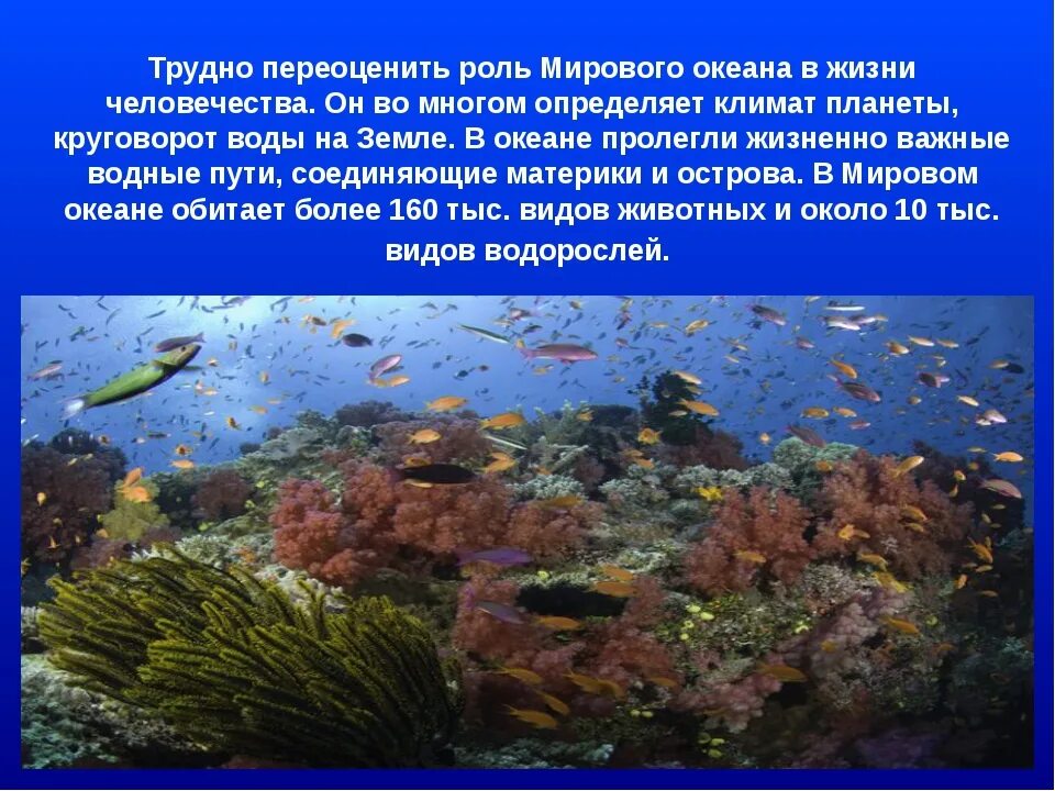 Сообщение на дне морей и океанов