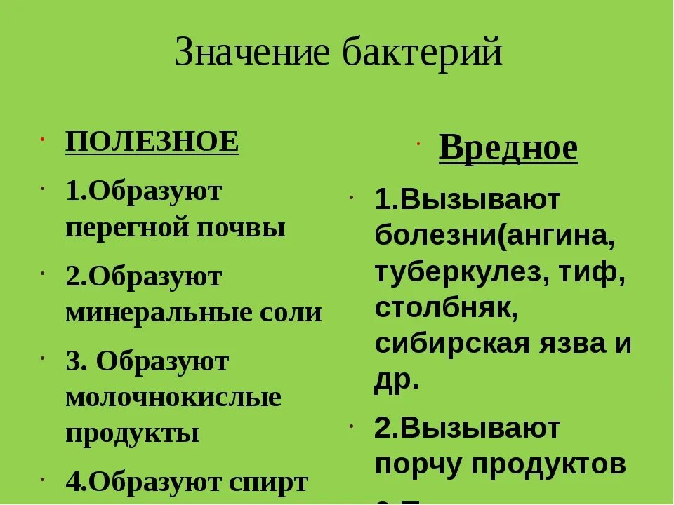 Плюсы бактерий в жизни человека. Значение бактерий. Значение бактерий в природе. Значение бактерий полезные и вредные. Значение бактерий в природе и для человека.