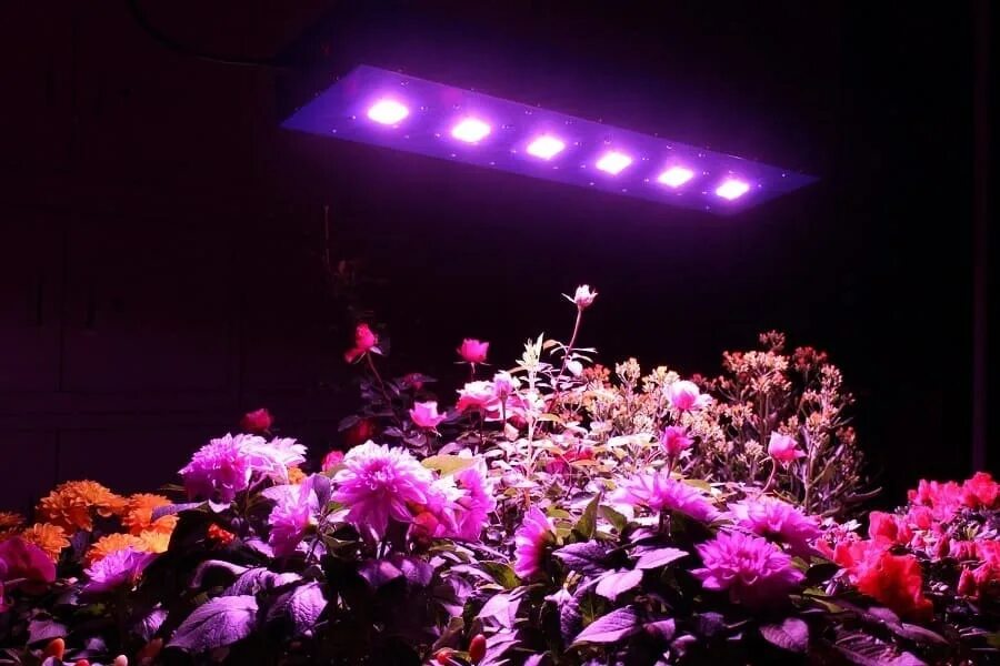 Гибридная подсветка. Гибридная подсветка. Гибридная подсветка. Led build. Stage lights grow.