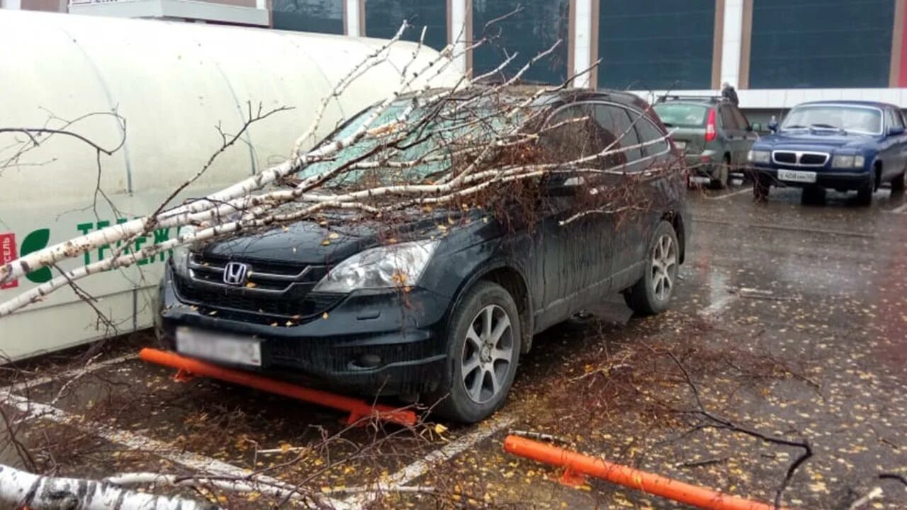 Чп обнинск