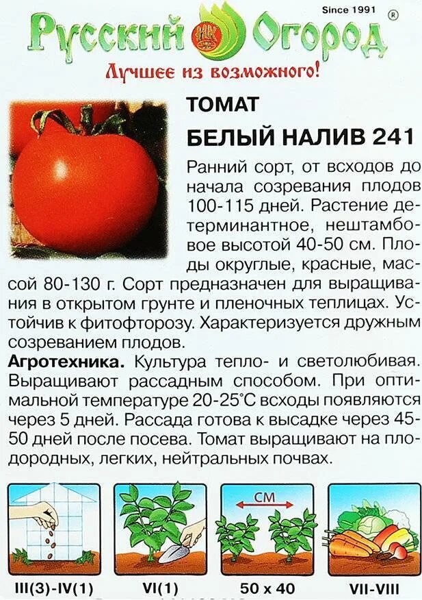 Сорт томатов белый налив отзывы. Сорт помидор белый налив 241. томат белый налив 241 характеристика. томат белый налив характеристика и описание. семена томат белый налив.
