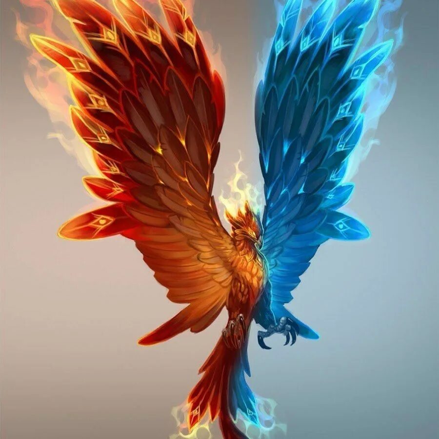Птица феникс перерождение. New phoenixes. Жар птица финист феникс. Феникс возрождение феникс возрождение. New phoenixes.