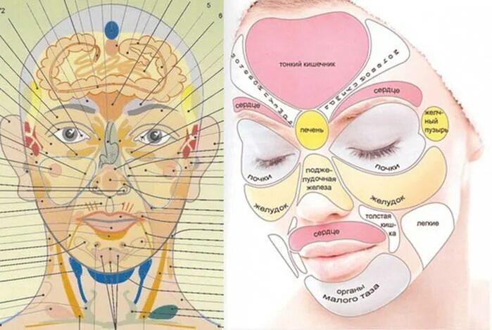 Прыщи где почему. Схема прыщей на лице. Зоны появления прыщей на лице. Прыщи и внутренние органы. Зоны высыпания прыщей на лице.
