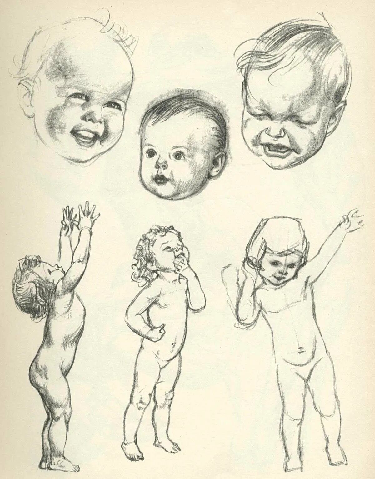 Children reference. Уилли Погейни искусство рисования. Анатомия ребёнка для рисования. Анатомия ребенка референс. Анатомия младенца для рисования.