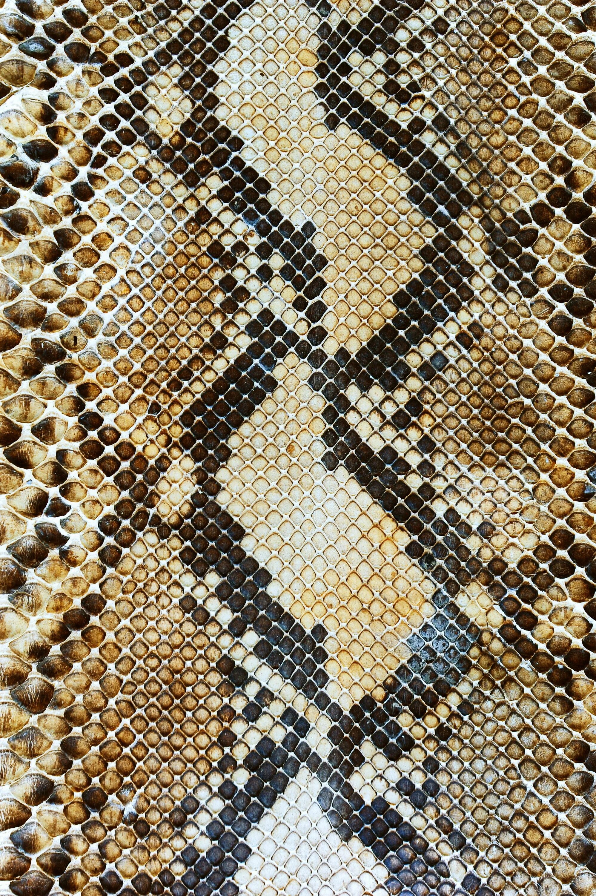 Snake pattern