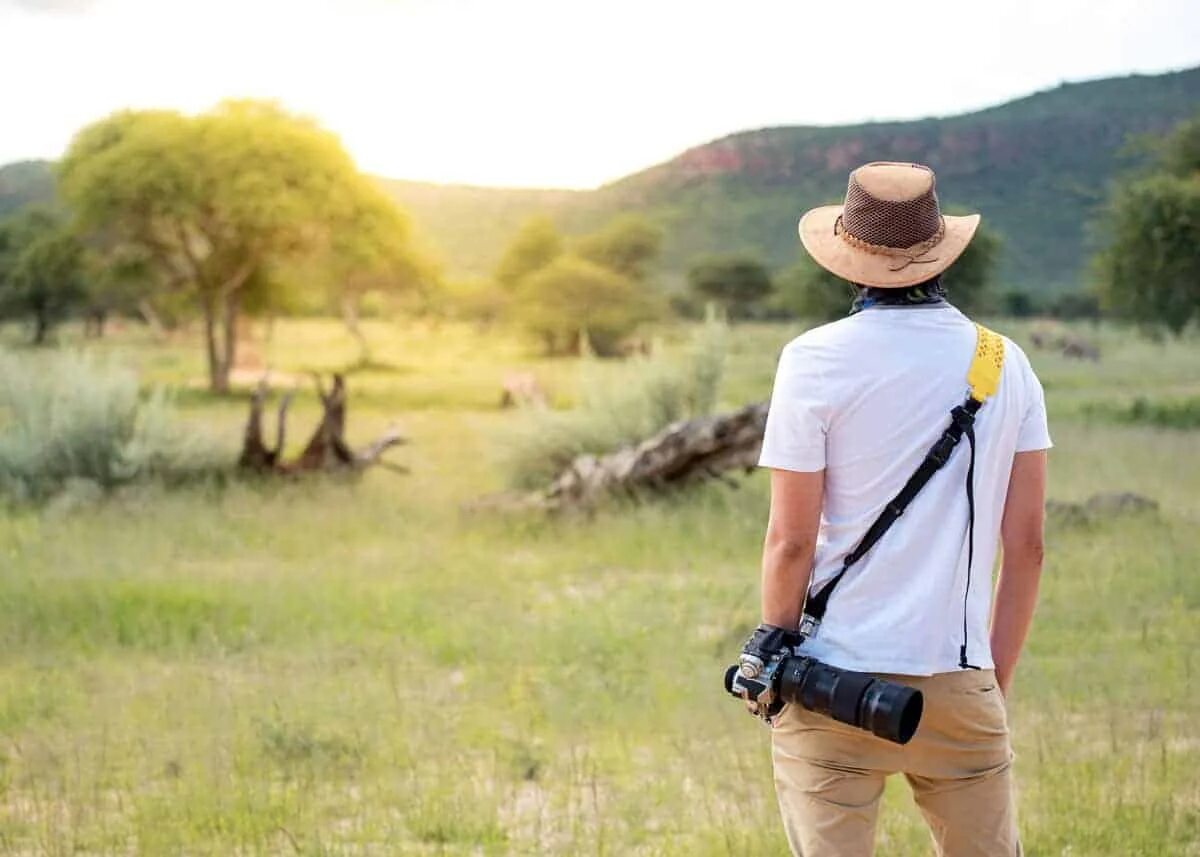 Сафари браузер. Сафари браузер первая версия. Браузер сафари внешний вид. Логотип safari. Сафари поиск.