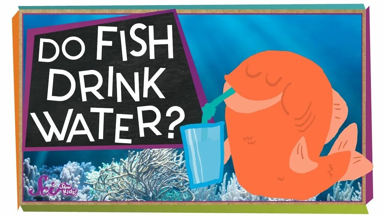 Drunk Fish. Drink like a Fish. Drink like a Fish картинка. Drink Fish Краснодар.