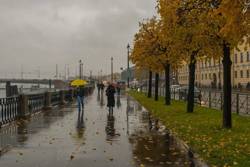 Набережная Невы в Санкт-Петербурге осень. Питер Васильевский остров осень утро. Санкт-Петербург дождь.