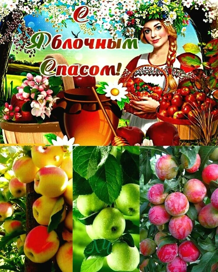 Доброго дня с яблочным спасом картинки. Яблочный спас. яблоневый спас. доброе утро с яблочным спасом. яблочный спас доброе утречко.