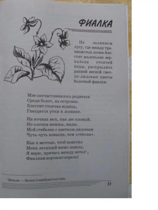 Фиалки на окне фото. Фиалка узамбарская сенполия голубая. Песня про фиалку. Ле-букетик оригами фиалка. Песня про фиалку.