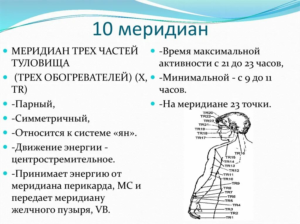 Схема меридианов. Меридианы человека схема. Меридианы головы человека схема. Схема меридианов на теле человека с точками. Меридианы имеют направление