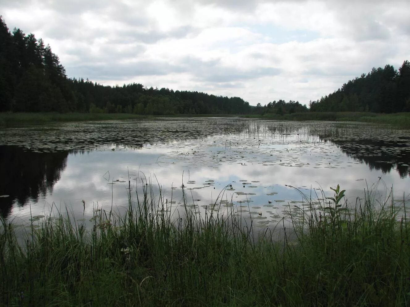 костерёво владимирская область озеро. возле озера в нижней верее. озеро нижнее мультинское горный алтай. оз нижнее. нижнее мультинское озеро фото.