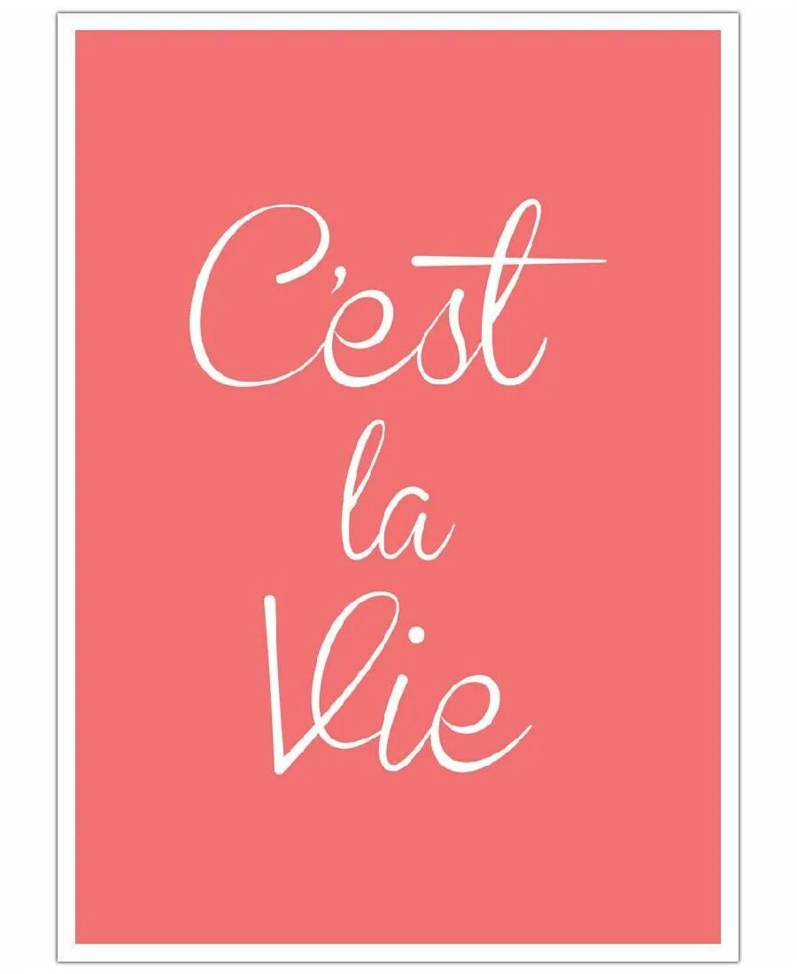 Перевод c est la vie на русский. Се ля ви. Сель ави. Селяви надпись. Се ля ви на французском.