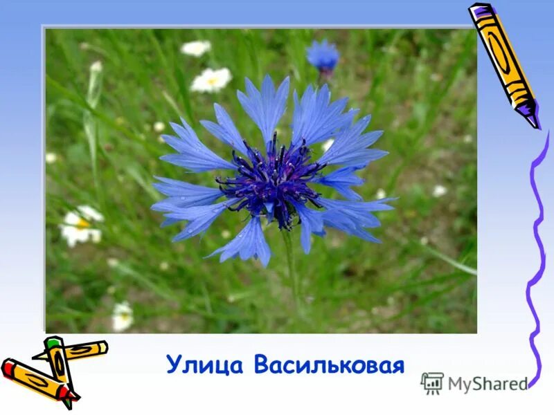 михася василька улица, 9 гродно. беларусь город гродно улицу василька михася. ул василька. ул василька. улица василька 33.