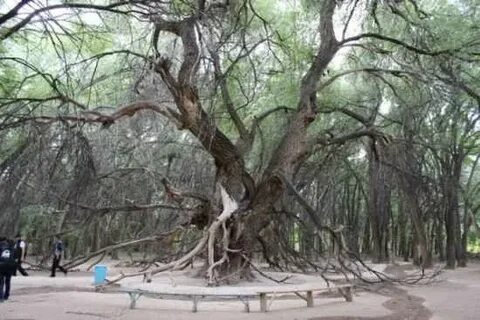 Херсондағы дос қызымен порно