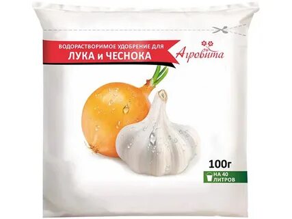 Рост чеснока