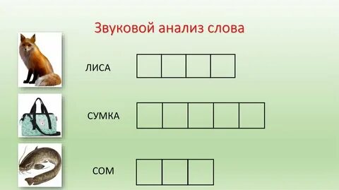 Схема слова лиса 1 класс