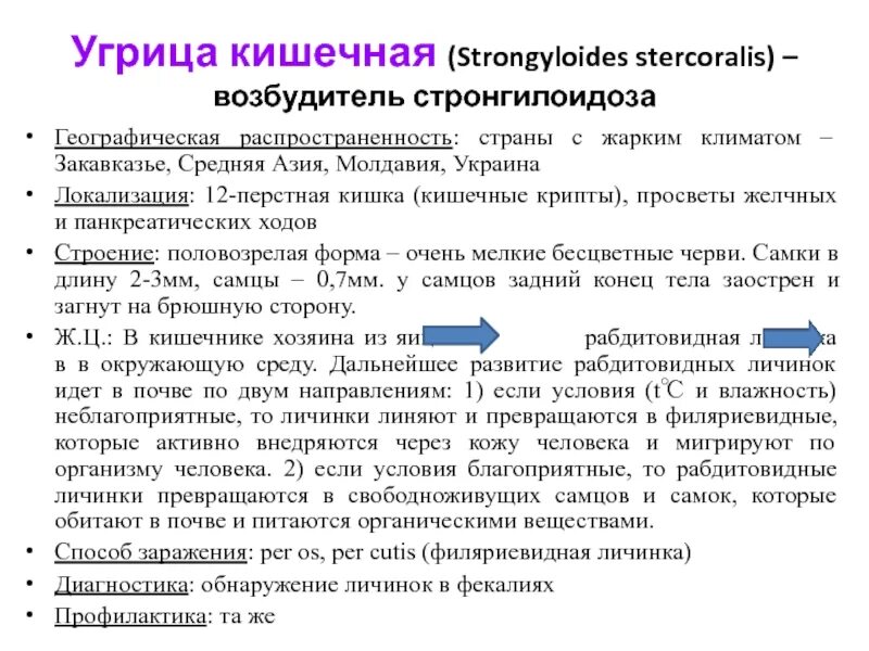 Жизненный цикл угрицы. Угрица кишечная географическое распространение. Угрица кишечная характеристика. Угрица кишечная strongyloides stercoralis. Угрица кишечная профилактика.